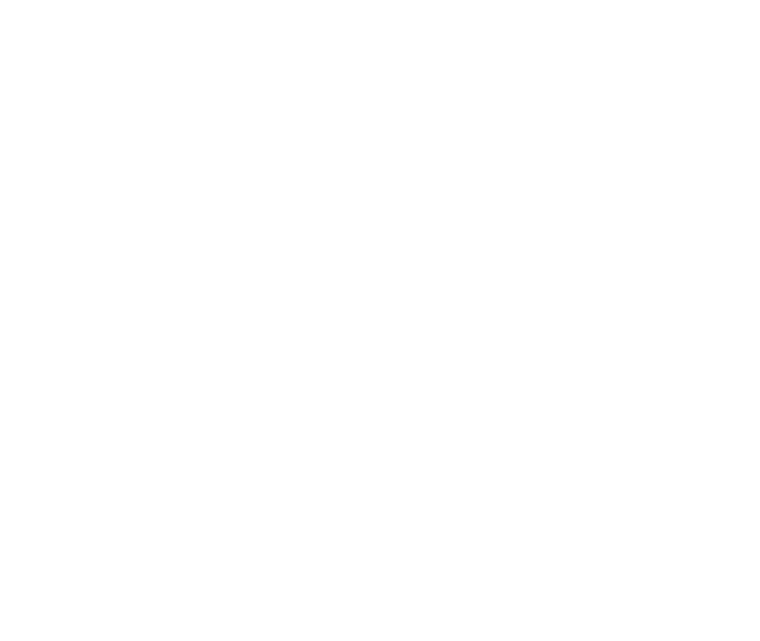 Ninth Circuit